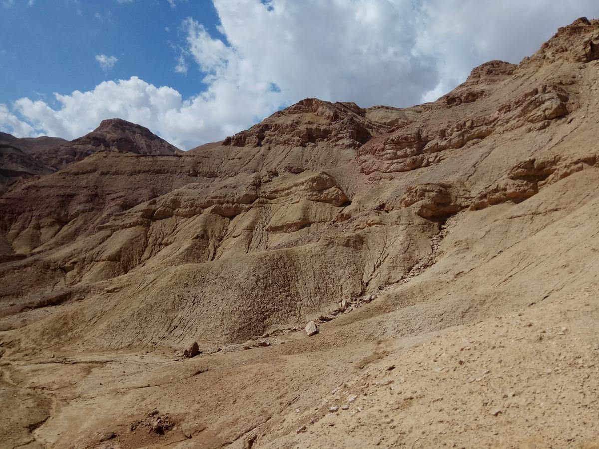 דירות באר אורה Relax In The Desert מראה חיצוני תמונה